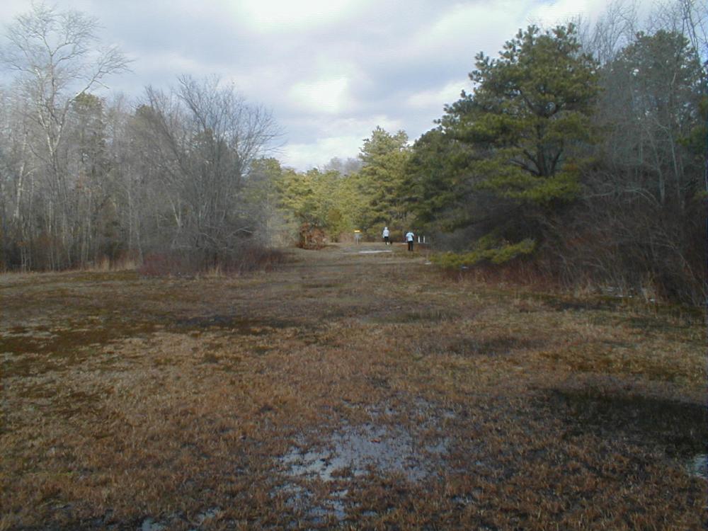 New Brooklyn Park Disc Golf Course Professional Disc Golf Association